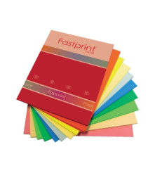 Fastprint - 80 GM - A4 - 250 vel - 10 kleuren